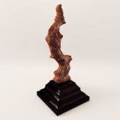 3d model Coral – 19. century